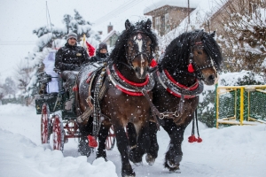 2023-12-02-Jízda sv. Mikuláše a rozsvícení vánočního stromu-Ždírec nad Doubravou