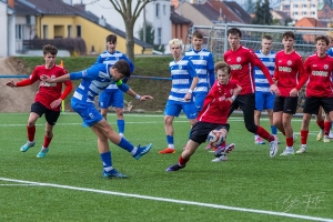 IMG_5593-CR2_DxO_DeepPRIMEXD