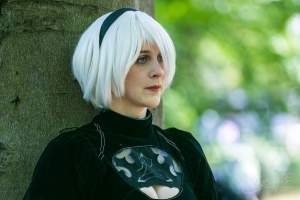 Bazi-foto-0040