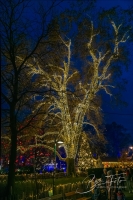 IMG_4165-008