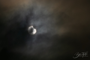 IMG_7489-004