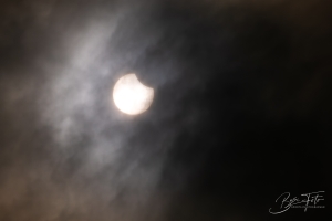 IMG_7493-001