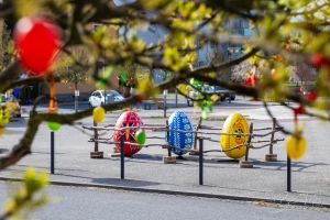 IMG_8883