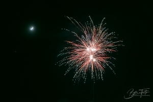 IMG_9547-001