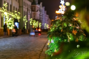 Vanocni-trhy-v-Hradci-Kralove-2025-000007