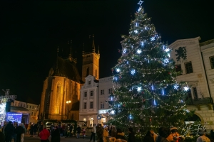 Vanocni-trhy-v-Hradci-Kralove-2025-000014