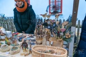 IMG_3681-001
