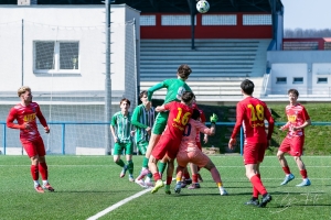 IMG_7248-031